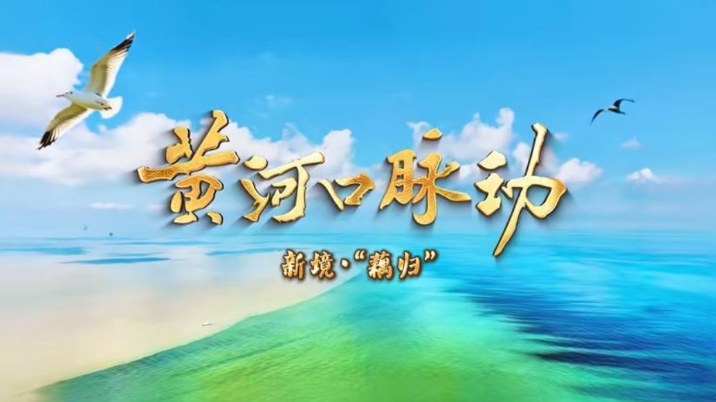 《黄河口脉动》第三集聚焦新农人归来的“藕归”故事
