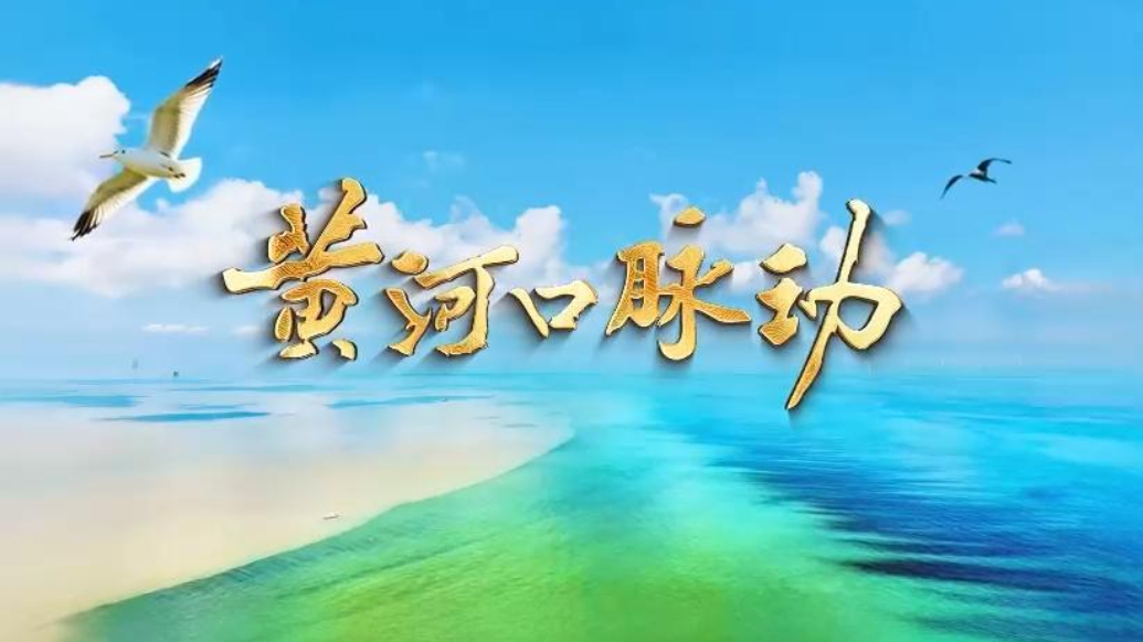 《黄河口脉动》发布！第一集聚焦盐碱滩上的稻香奇迹