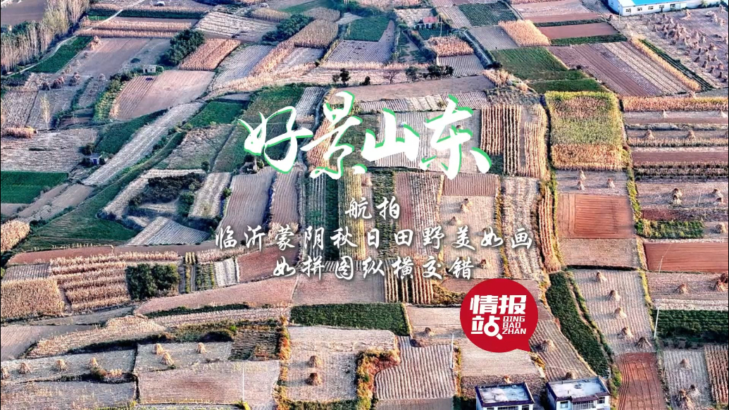 果然视频·好景山东|临沂蒙阴秋日田野美如画，如拼图纵横交错！