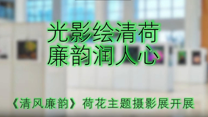 《清风廉韵》荷花主题摄影展