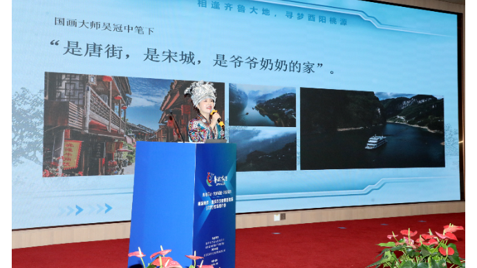 鲁渝协作：冉义在重庆农文旅精品线路（北京）专场推介会上的分享