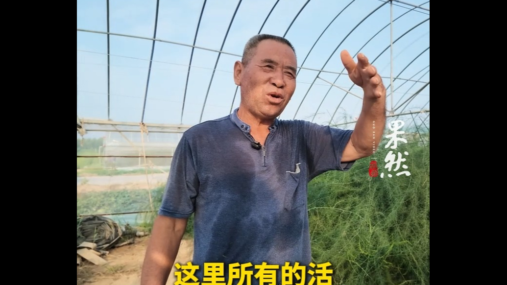 果然视频丨东营这个社区搞芦笋养殖，长期工一天能挣100块钱