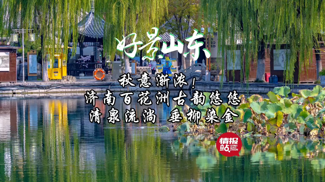 果然视频·好景山东|济南百花洲古韵悠悠，垂柳染金秋意渐浓！