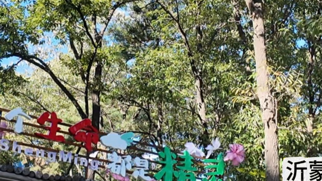 果然视频|云蒙景区邀您重阳节共赴森林之约，听民谣欢乐互动