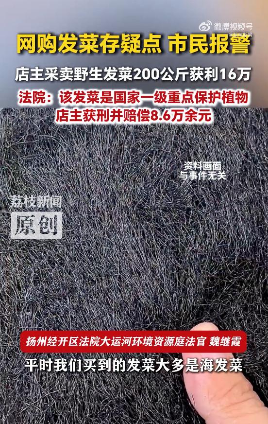 图片加载失败