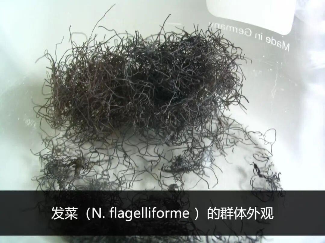 图片加载失败