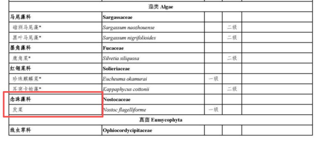 图片加载失败