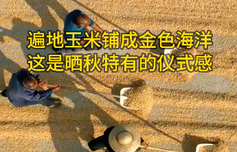 日照岚山：晒场涌金浪 晒出丰收好“丰”景 