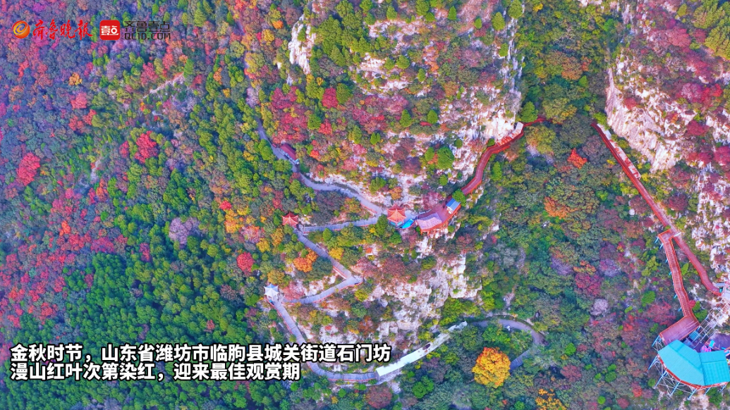 果然视频|层林尽染，山东临朐石门坊迎来红叶最佳观赏期