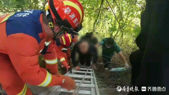 果然视频|老人不慎滑落至河沟内被困，消防员架梯施救