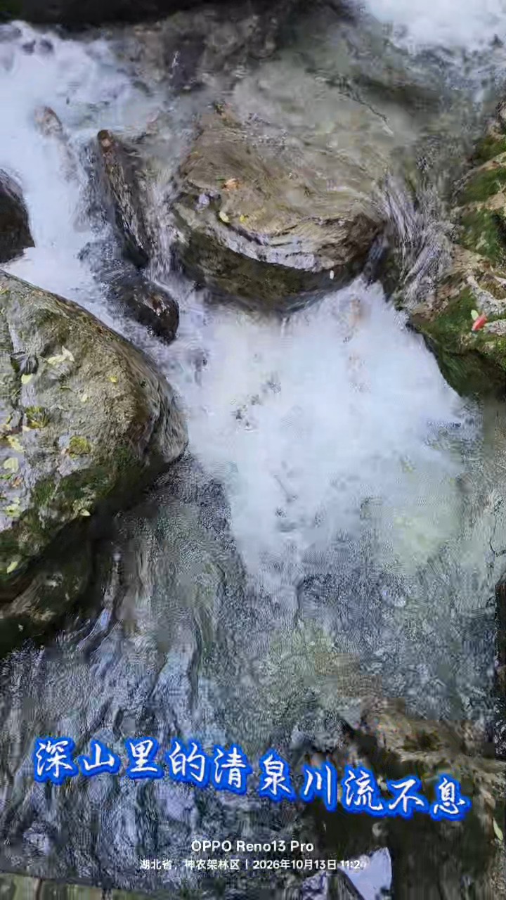 深山里的清泉川流不息