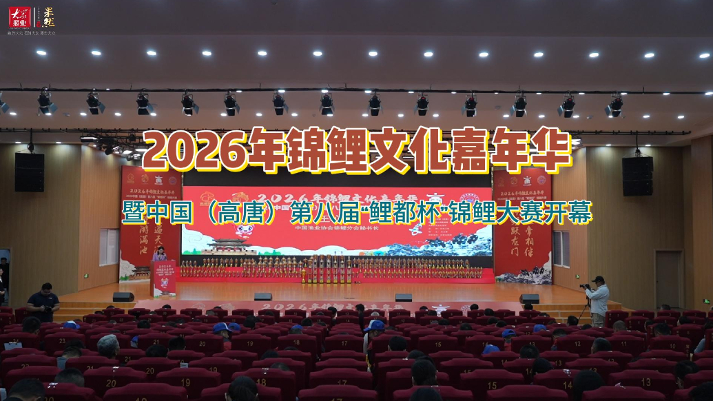 2026年锦鲤文化嘉年华暨高唐第八届“鲤都杯”锦鲤大赛开幕