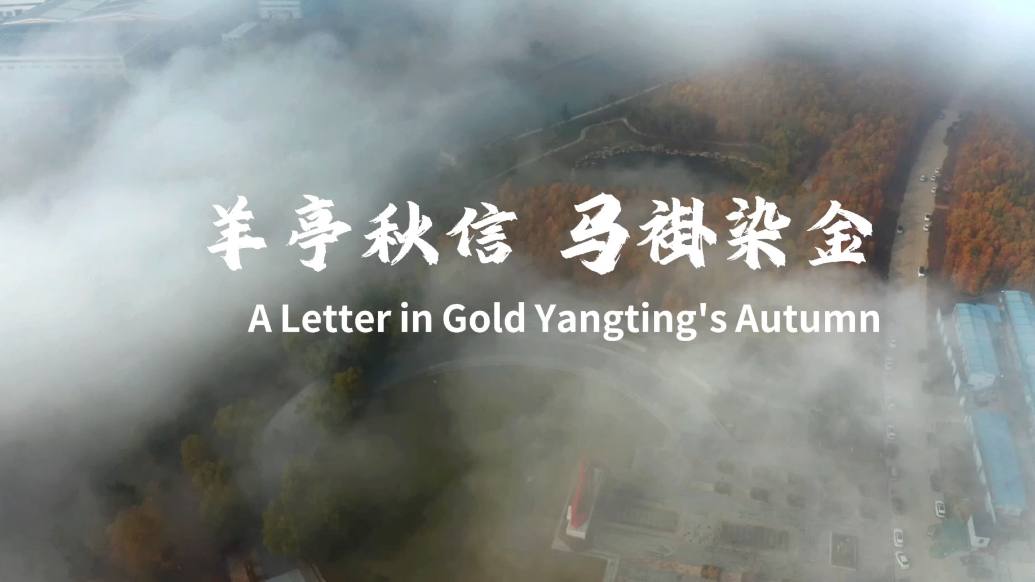 果然视频|威海市环翠区：羊亭秋信，马褂染金