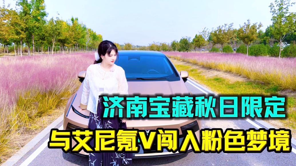 太出片了！打卡济南宝藏粉海，与艾尼氪V邂逅秋日粉色浪漫