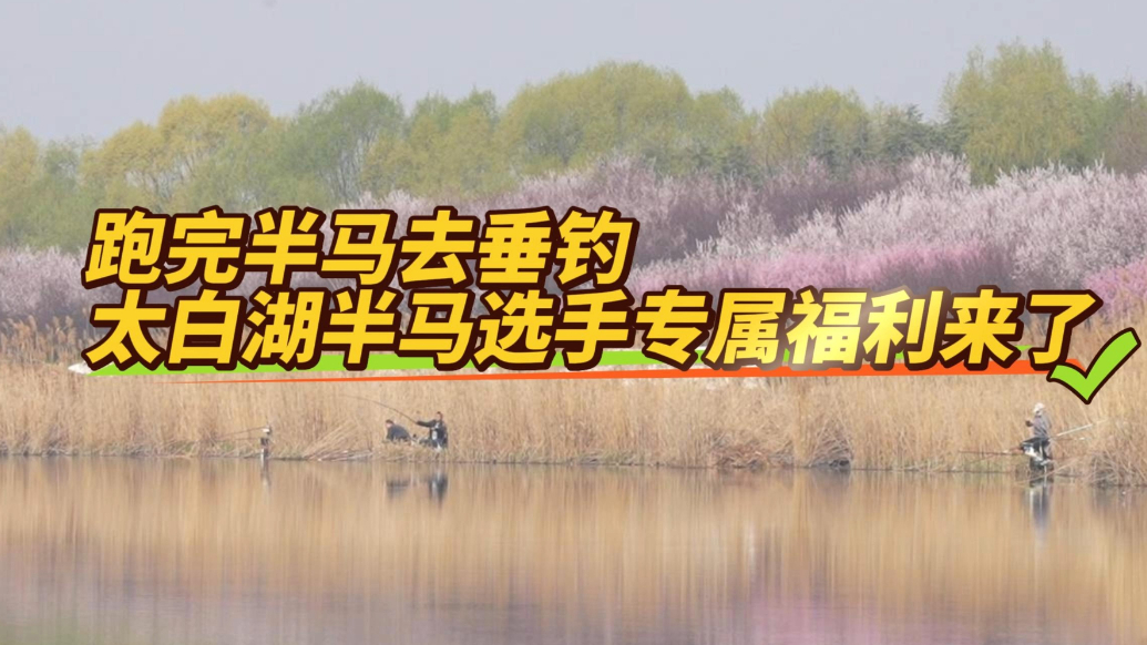 果然视频|跑得尽兴，钓得开心！2026太白湖半马选手专属福利