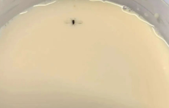 一杯奶茶里的小虫引发三方纠纷，小额消费维权是道信任考题