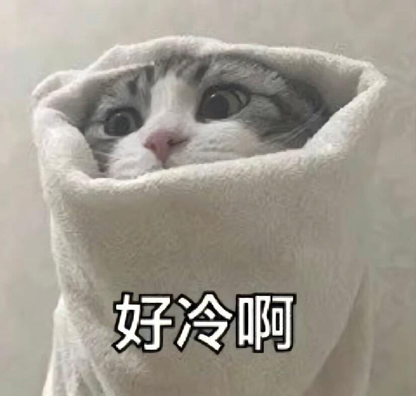 图片加载失败