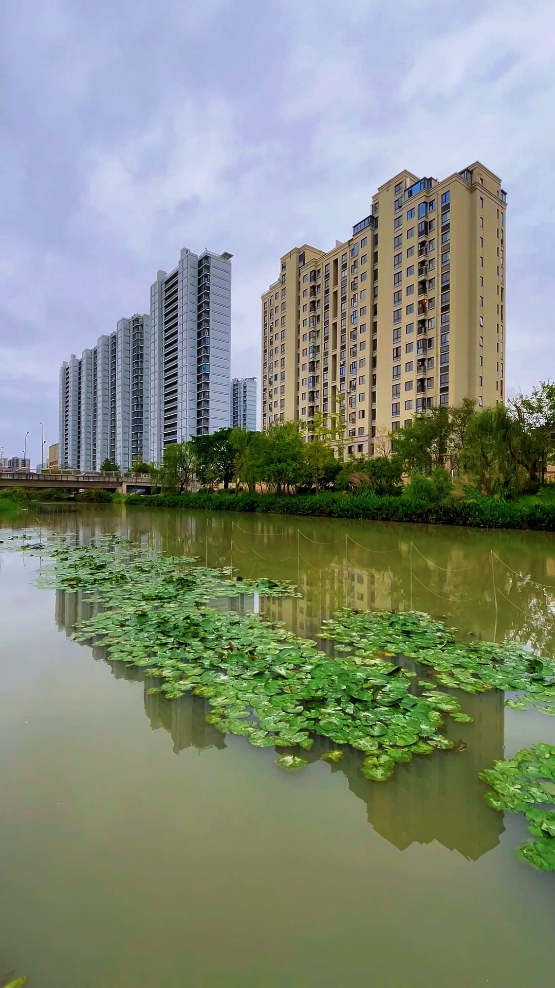 水岸栖居
