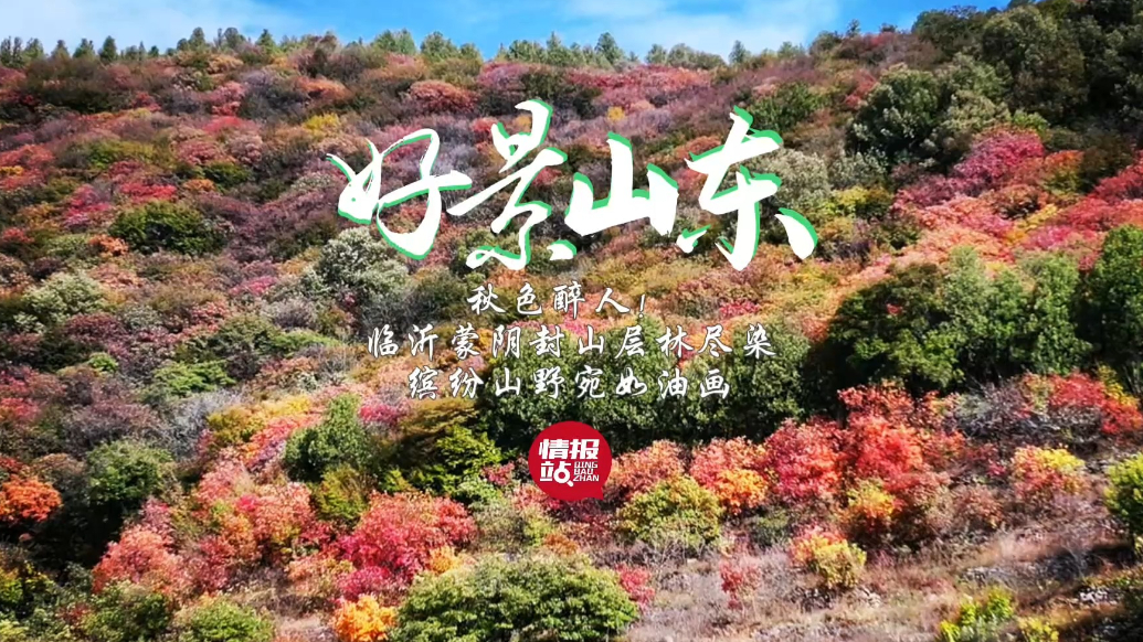 果然视频·好景山东|临沂蒙阴封山层林尽染，缤纷山野宛如油画！