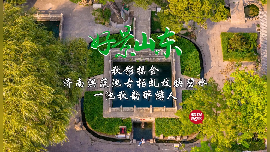 果然视频·好景山东|济南洪范池古柏虬枝映碧水，一池秋韵醉游人