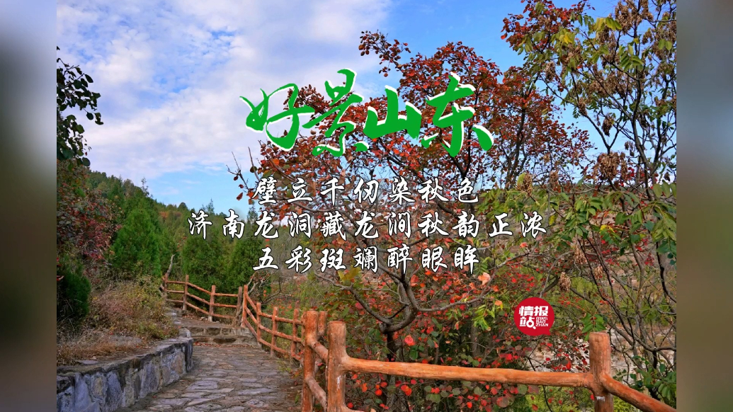 果然视频·好景山东|济南龙洞藏龙涧秋韵正浓，五彩斑斓醉眼眸