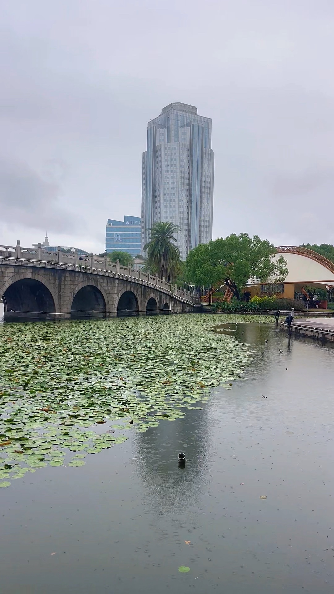  细雨轻洒，古桥荷静