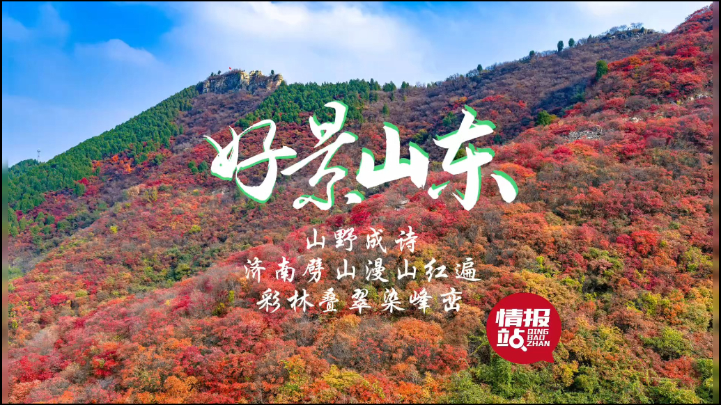 果然视频·好景山东|济南劈山漫山红遍，彩林叠翠染峰峦！