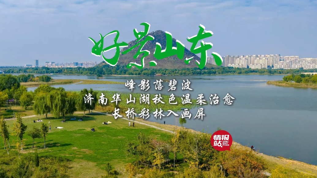 果然视频·好景山东|济南华山湖秋色温柔治愈，长桥彩林入画屏