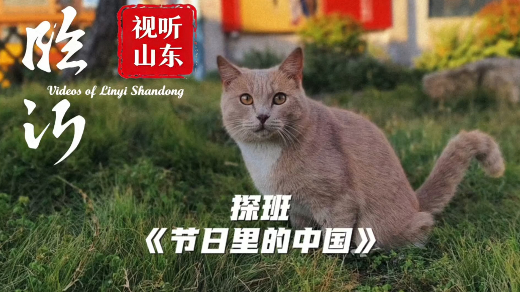 视听山东·临沂丨探班《节日里的中国》