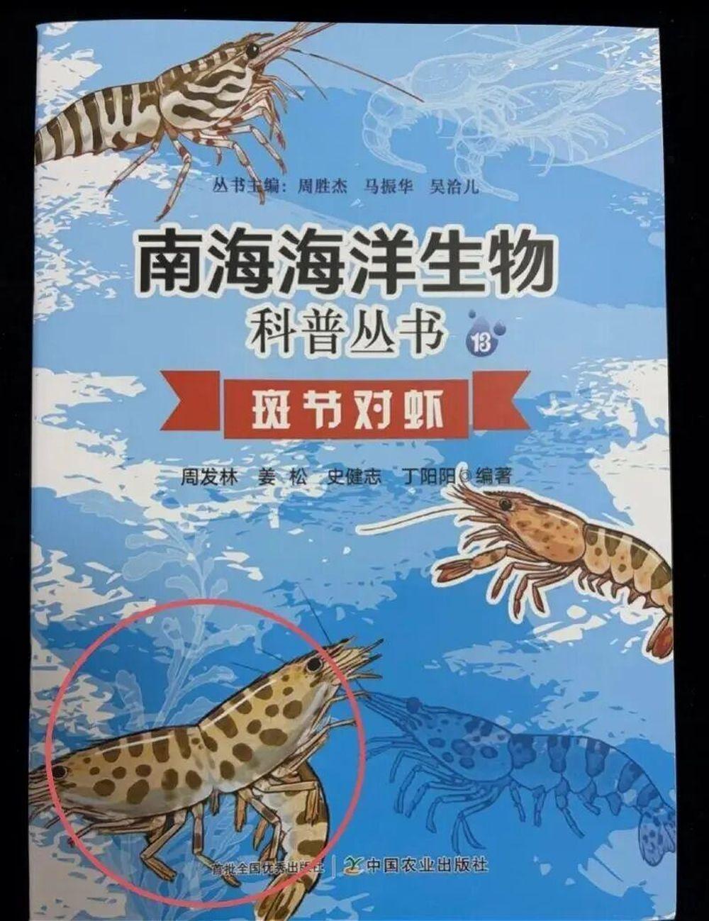 图片加载失败