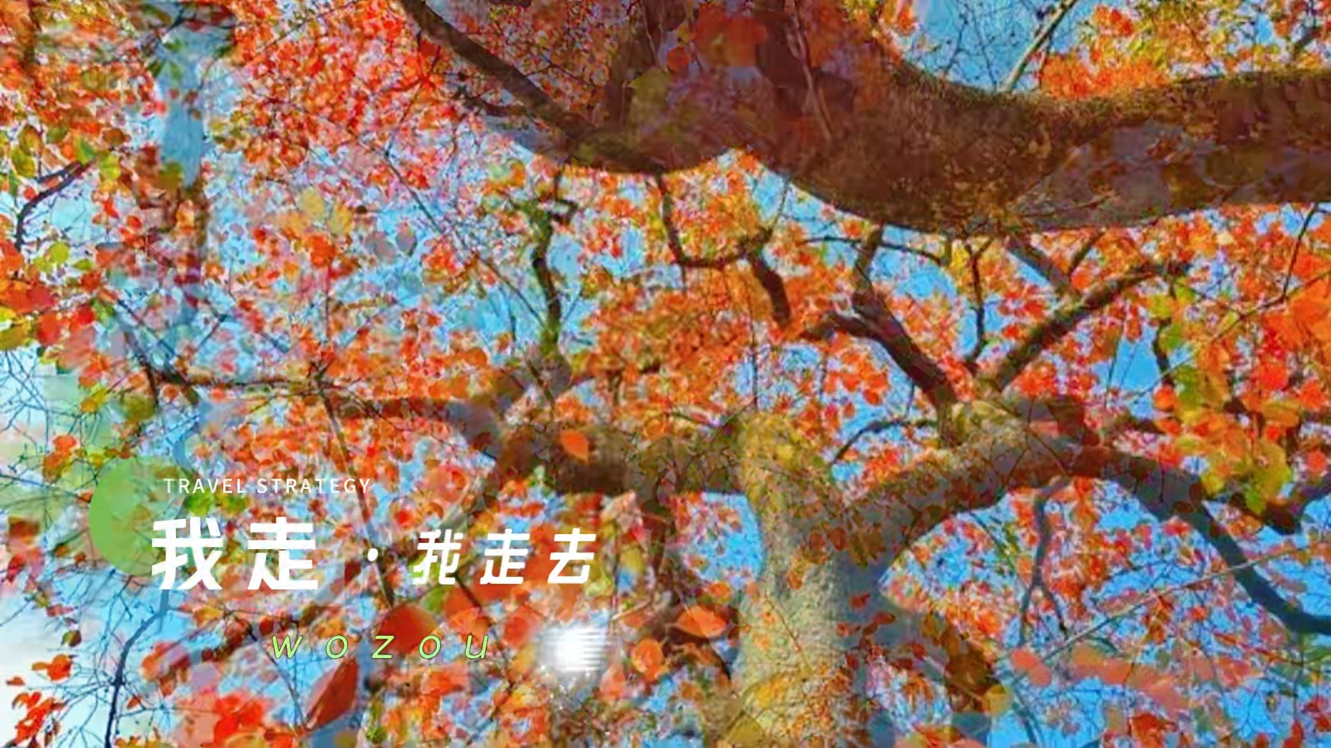 走进泰山深处，看尽世间斑斓.摄影周长征