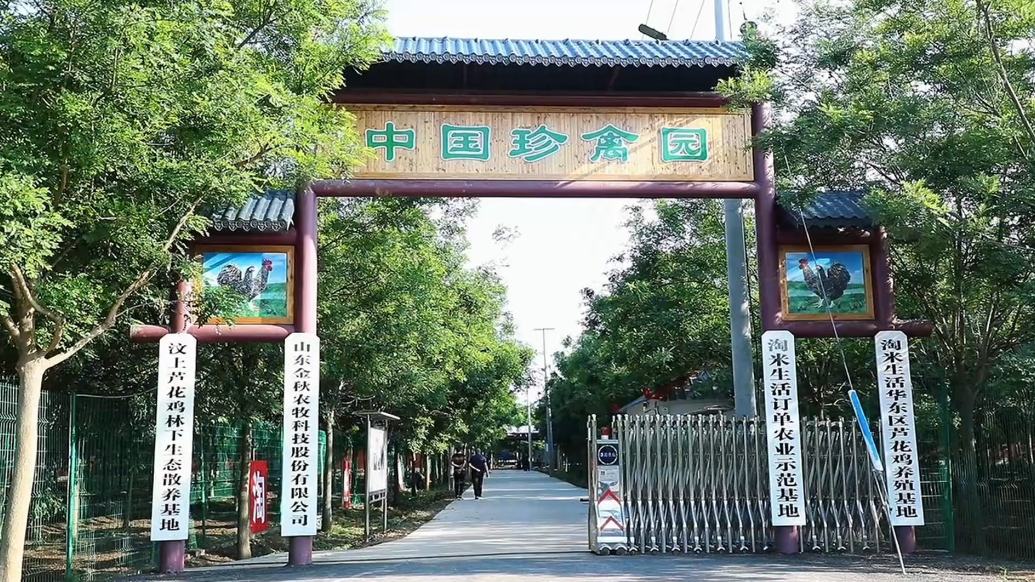 果然视频|芦花越千年，香自中都来