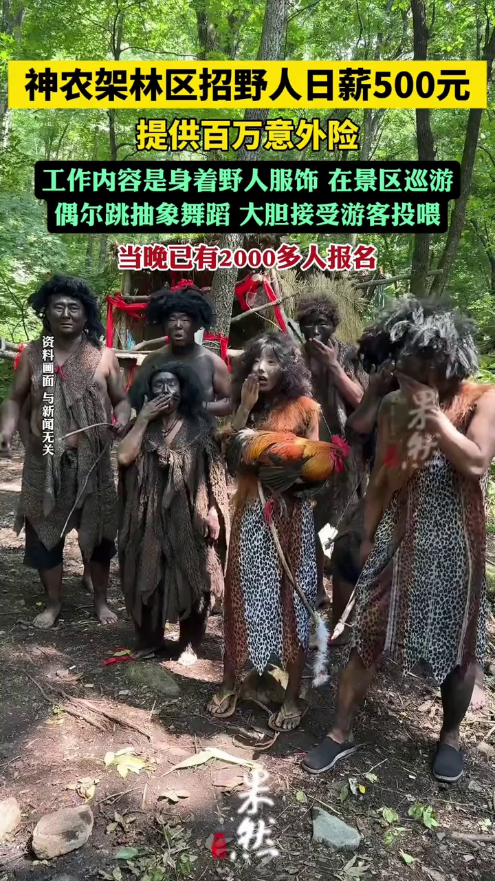 神农架招野人日薪500元超2000人报名（极目新闻）