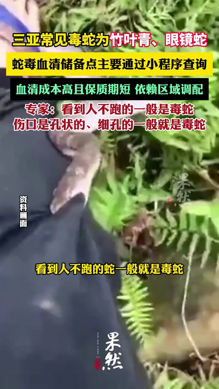 专家详解如何快速辨别是否被毒蛇咬伤（山海视频 现代快报）