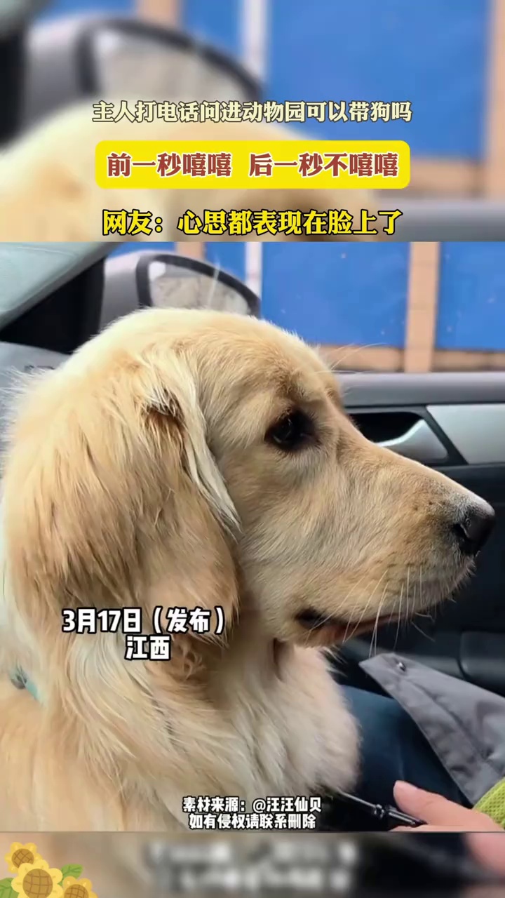 主人打电话问进动物园可以带狗吗？狗狗前一秒嘻嘻，后一秒不嘻嘻了……