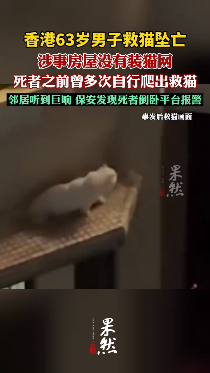 香港63岁男子救猫坠亡