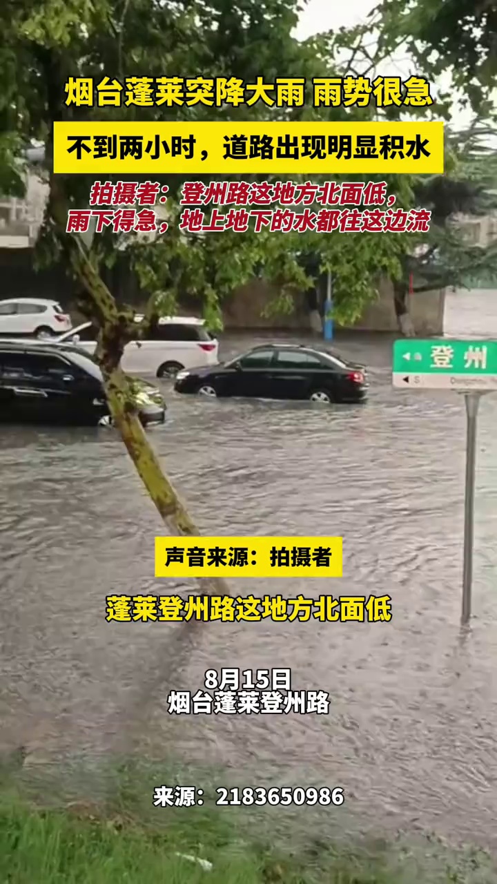 烟台蓬莱突降大雨，雨势很急，不到两小时，道路出现明显积水，拍摄者：登州路这地方北面低，雨下得急，地上地下的水都往这边流