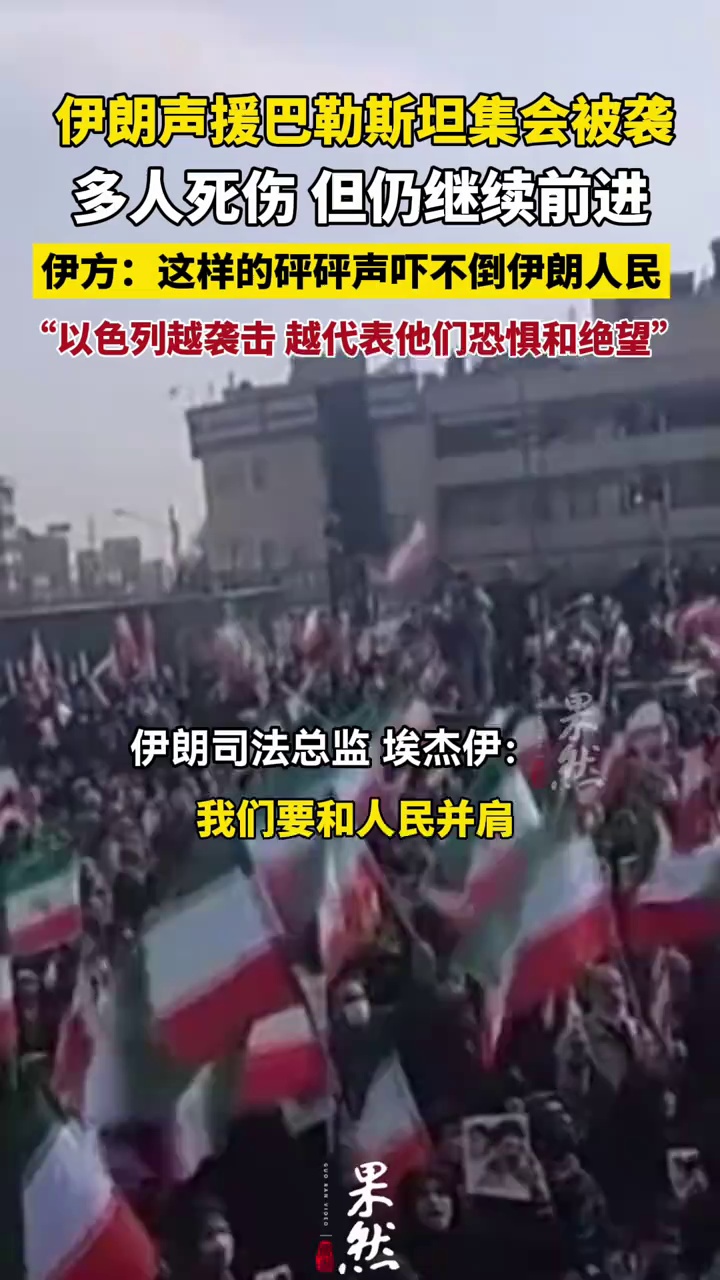 伊朗声援巴勒斯坦集会被袭 多人死伤 队伍仍前进
伊朗官员：这样的“砰砰”声吓不倒伊朗人民
