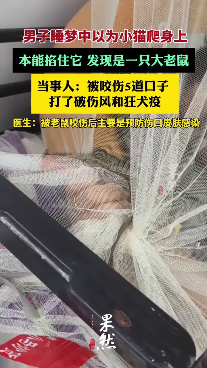 男子睡梦中被大老鼠咬伤5道口子（荔枝新闻）@汤圆麻麻要逆袭