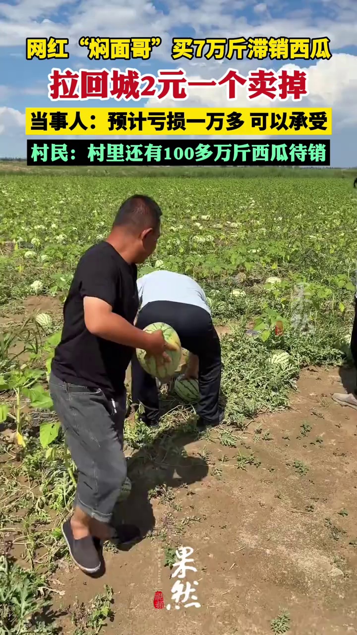 网红“焖面哥”买7万斤滞销西瓜拉回城2元一个卖掉：虽亏万元以上，但助农不讲成本（极目新闻）