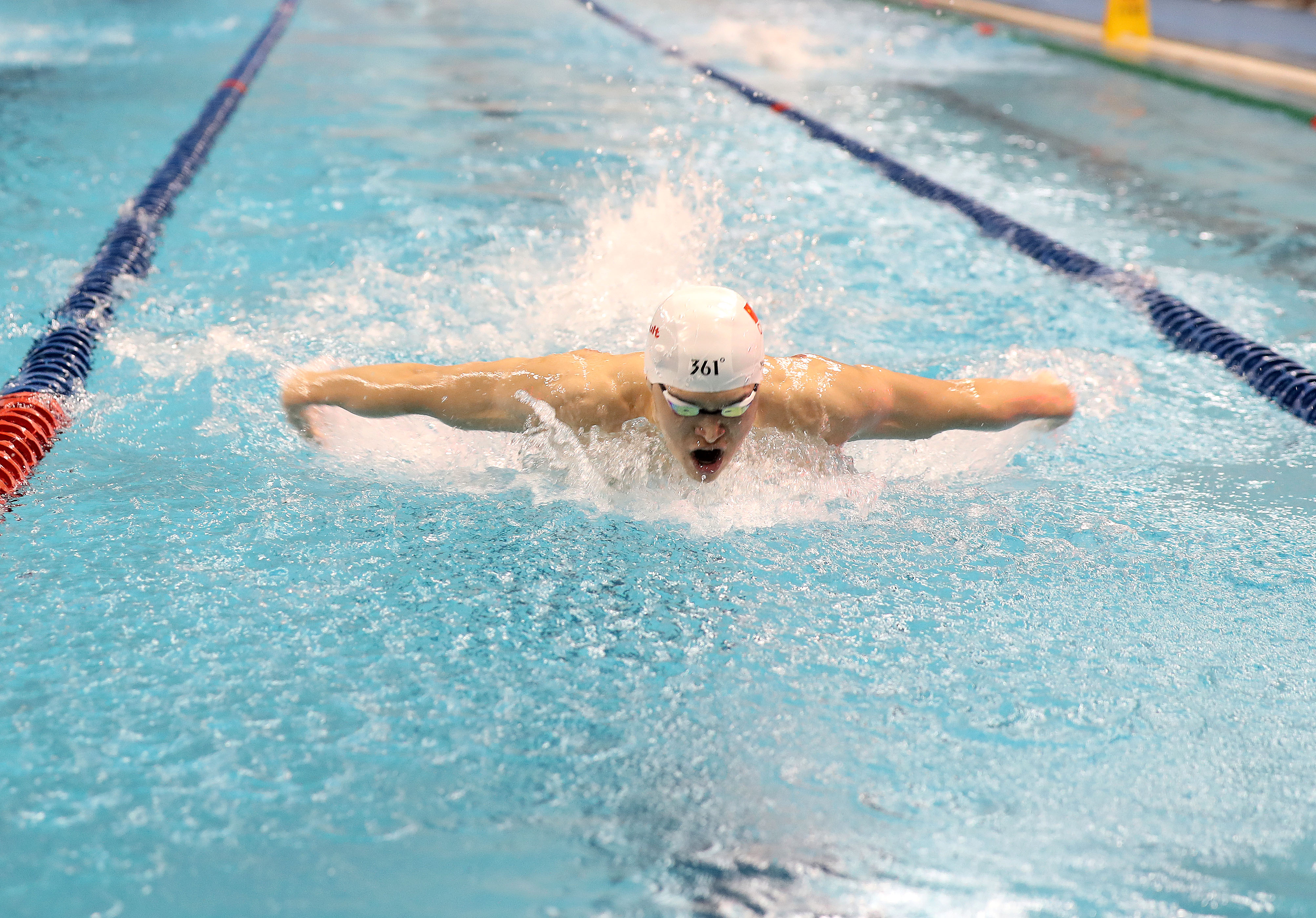 新年首战 孙杨跃跃欲试