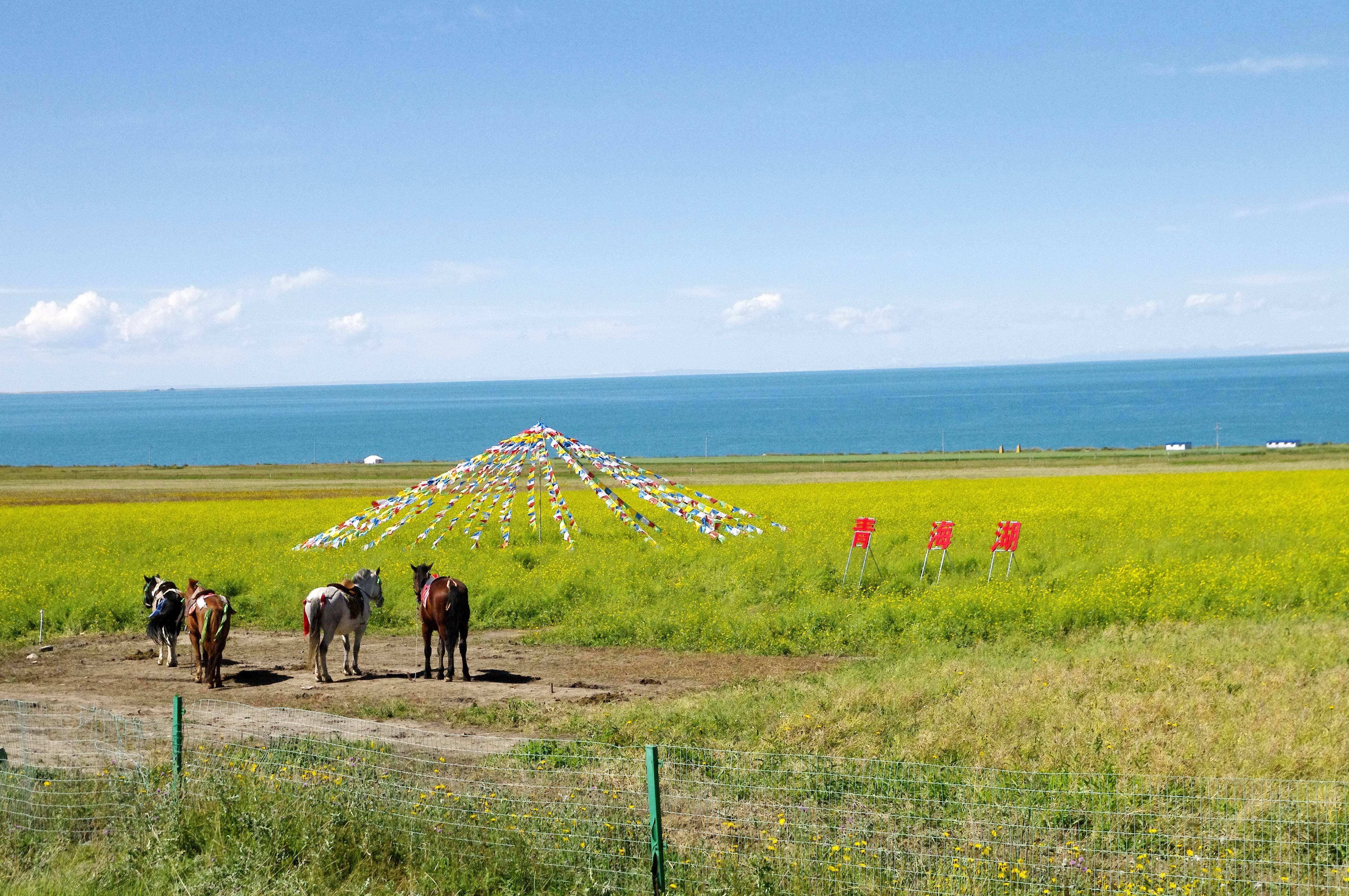 每一个到过青海湖的人,都未曾被辜负
