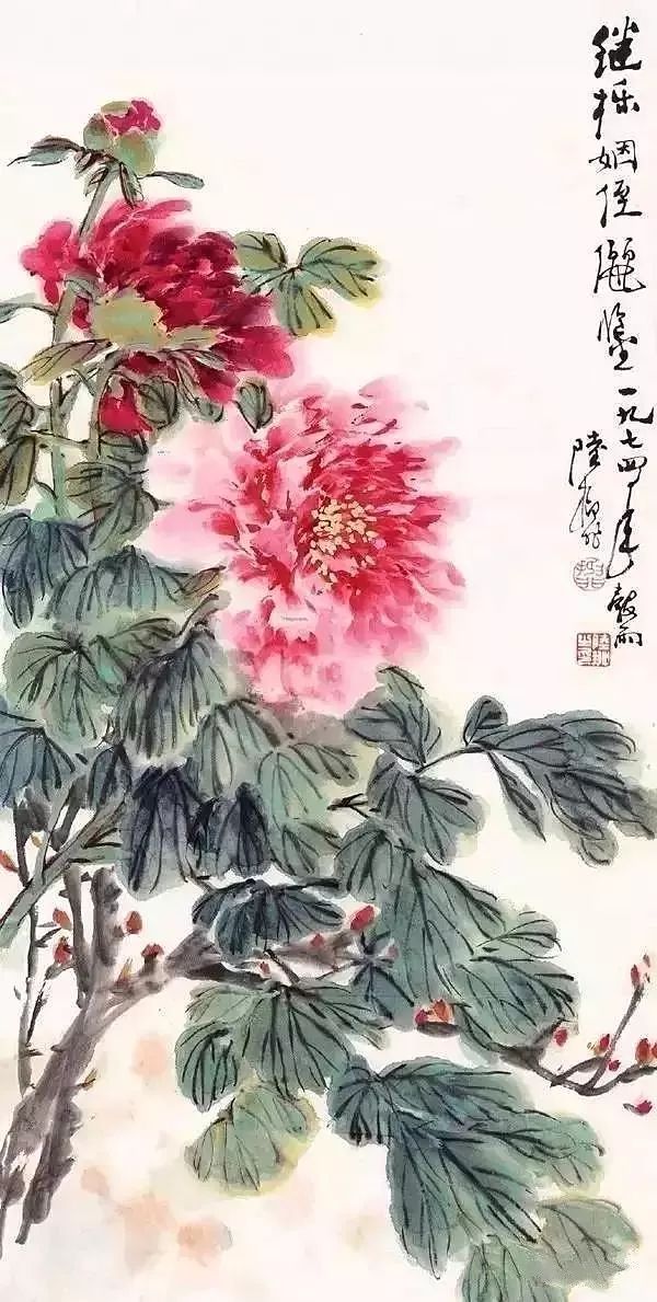 陆抑非 牡丹