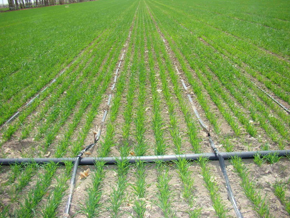 温室大棚智能温室控制系统物联网解决方案