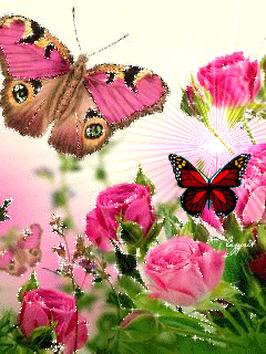 蝴蝶玫瑰花动态壁纸图片