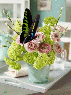 240_320竖版 竖屏gif 动态图 动图