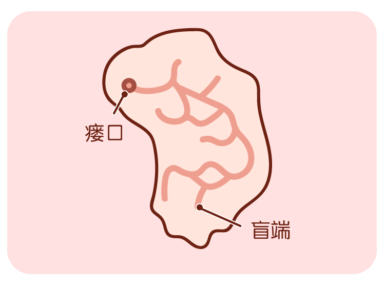 耳朵进水会得中耳炎吗?这些问题家长必须知道