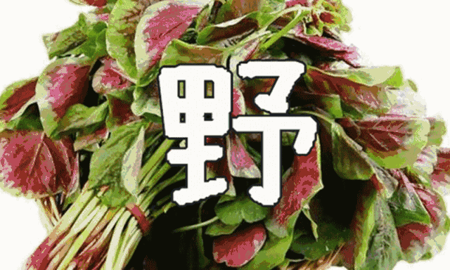 640_384gif 动态图 动图