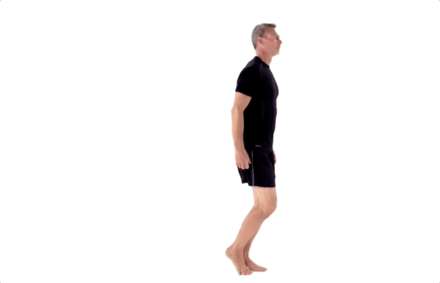 04 小马踮步练习