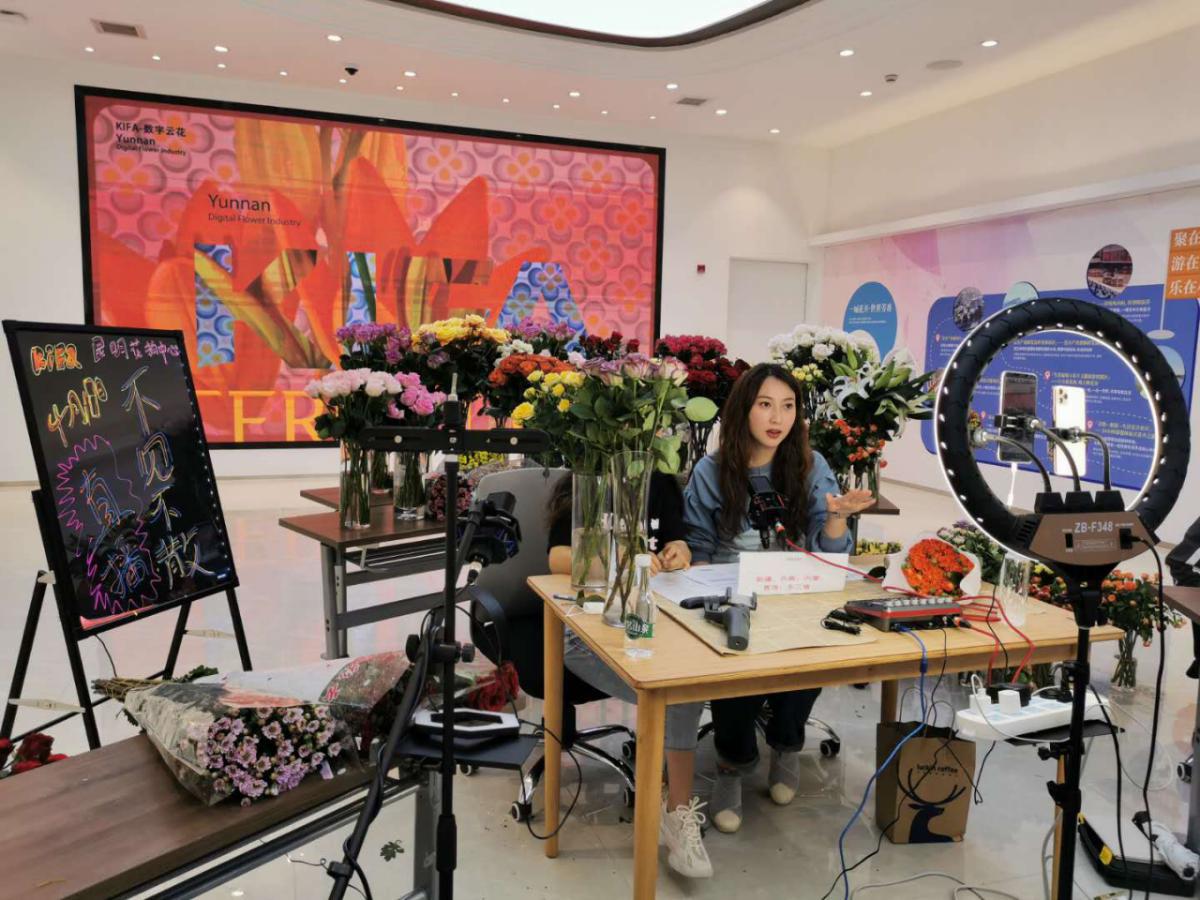 云南斗南打造首个"dou in 鲜花小镇" 直播助力"云花"走向世界